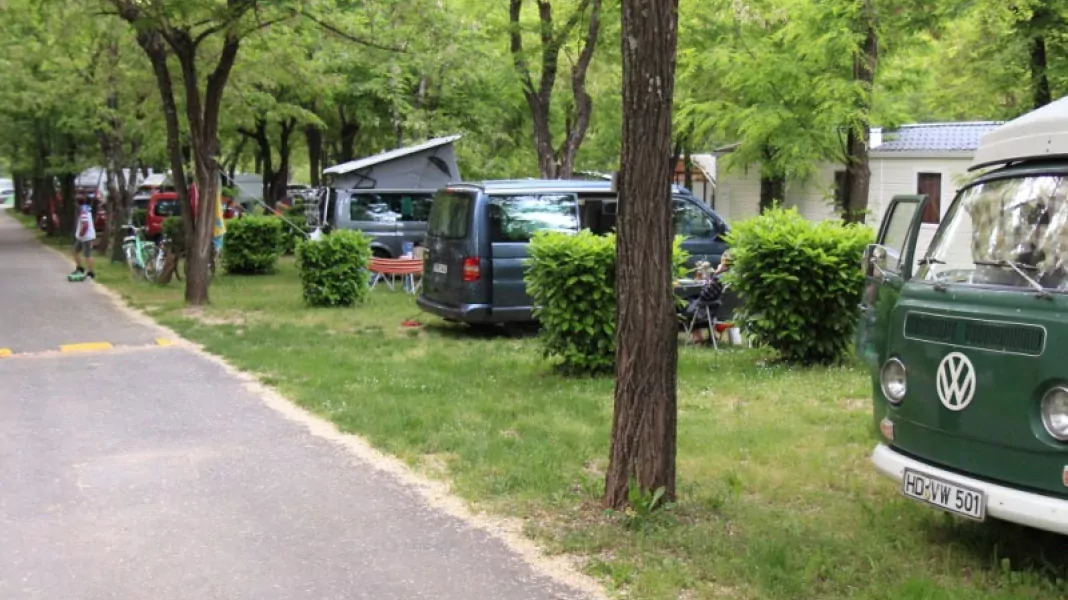CAMPING LES ACTINIDIAS