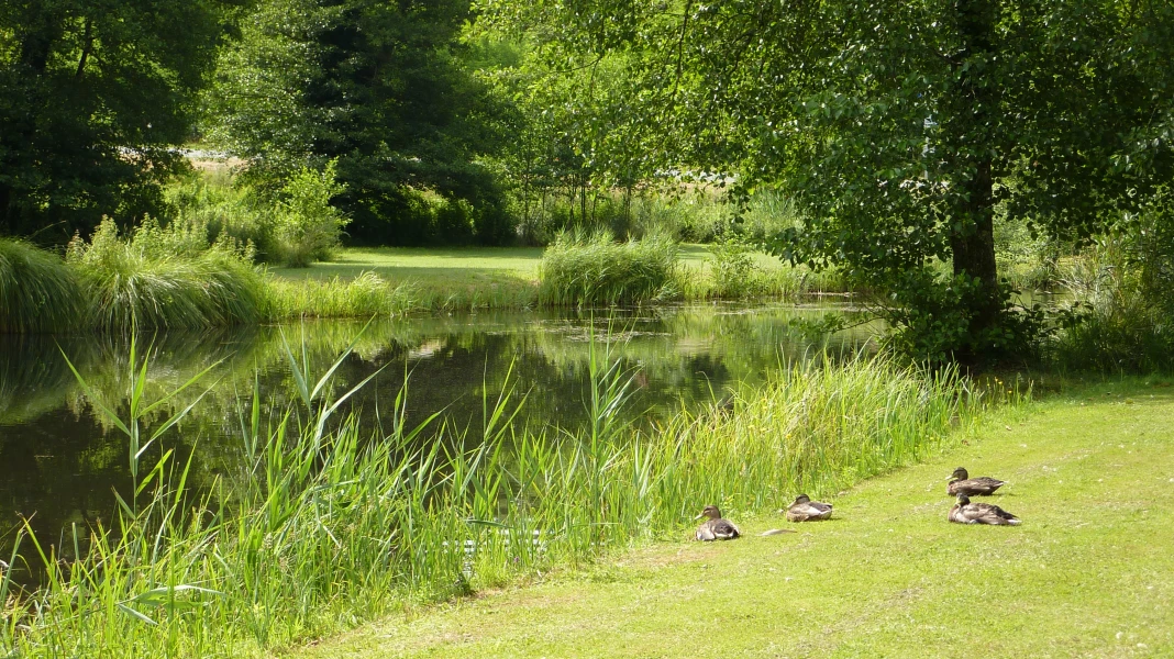 CAMPING MOULIN DE CAMPECH
