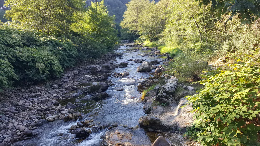 CAMPING LES BERGES DU DOUX