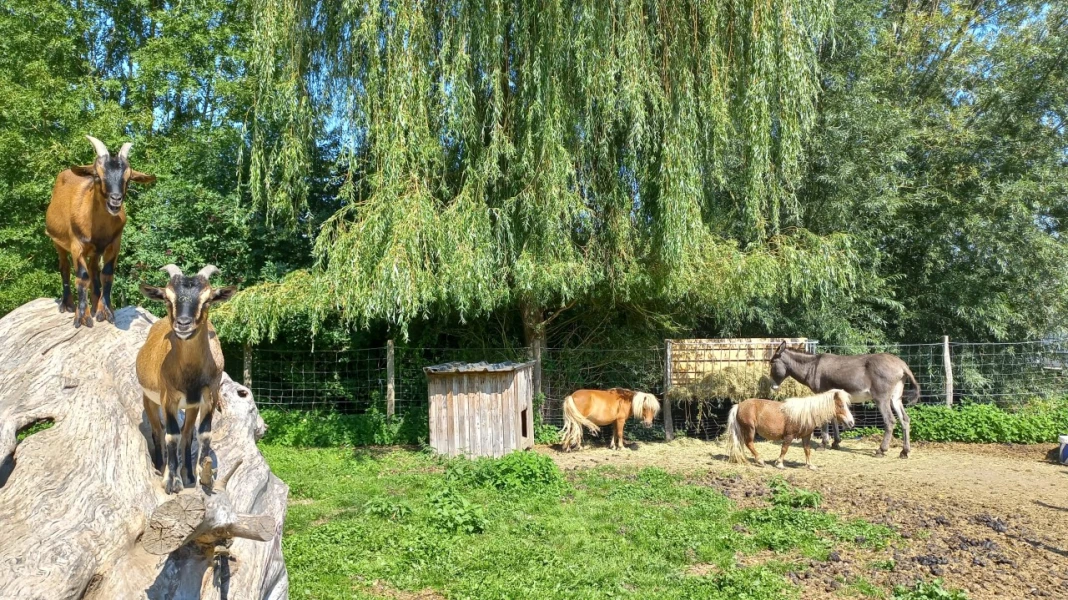 CAMPING DE LA SENSÉE