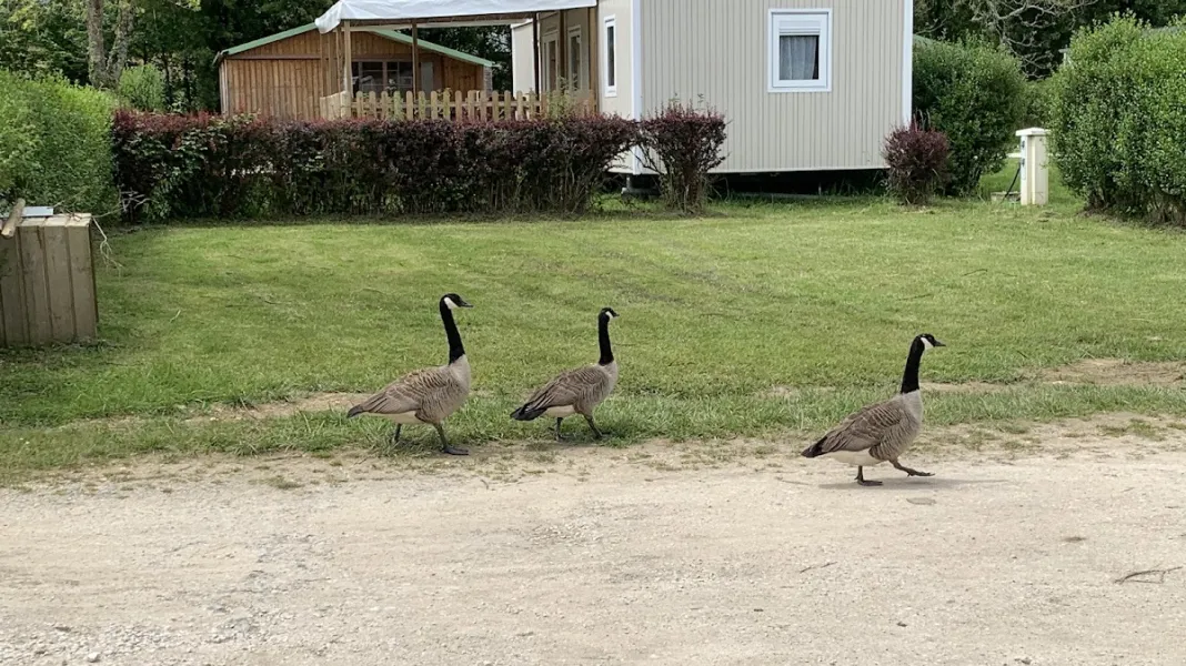 CAMPING LES JOUMIERS