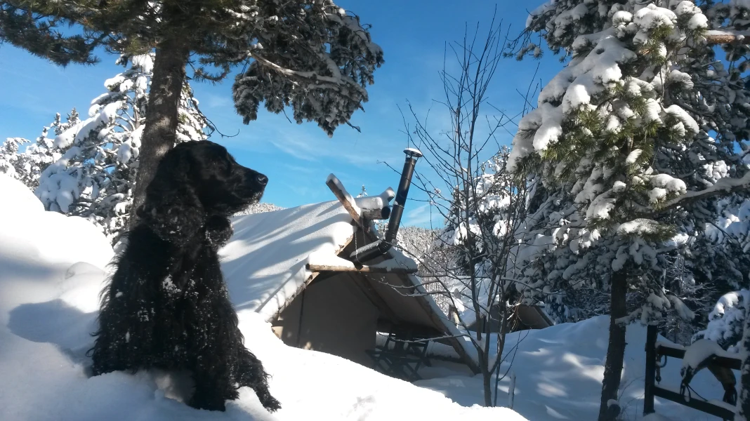 CAMPING LA DEVÈZE