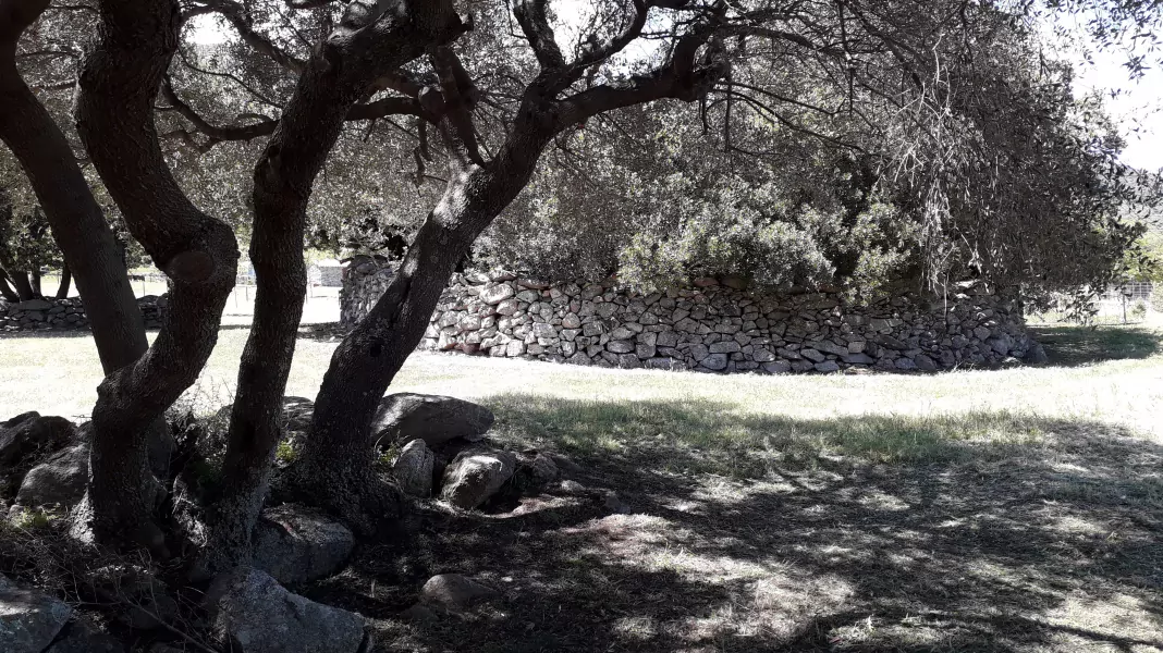 CAMPING À LA FERME LA CANARDIÈRE