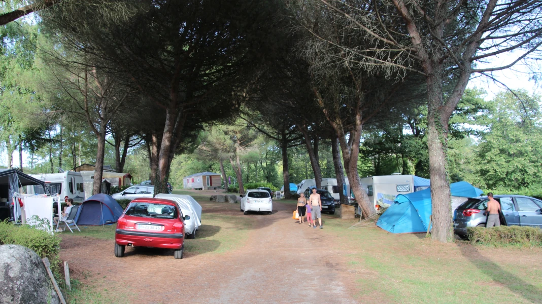 CAMPING LE BOSQUET