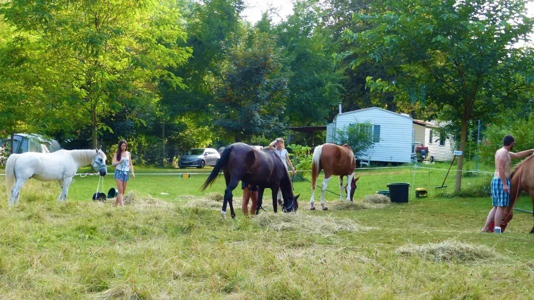 CAMPING LE PETIT PYRÉNÉEN