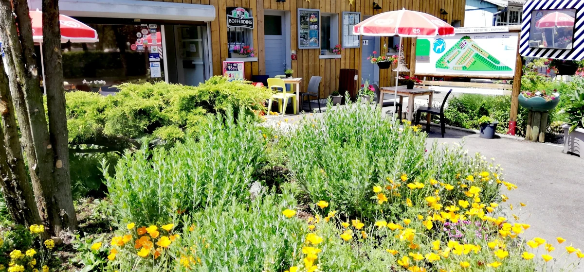 CAMPING DE CONTREXÉVILLE