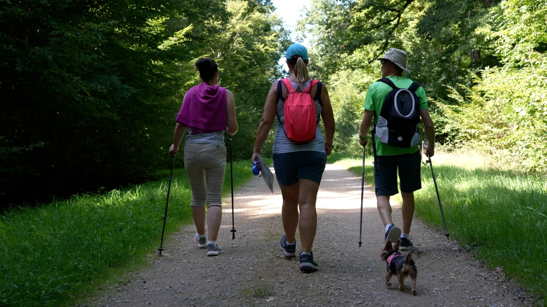 CAMPING DE CONTREXÉVILLE