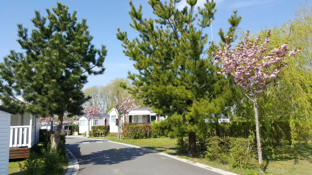 CAMPING LES CERISIERS