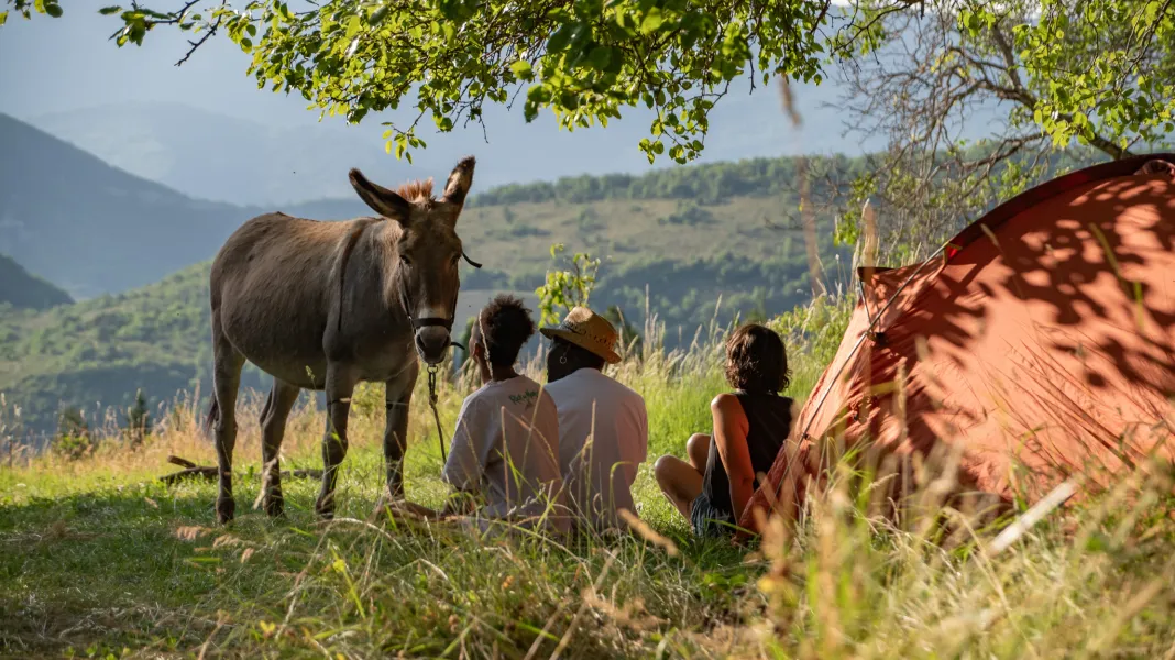CAMPING À LA FERME DE BAMBOUL'ÂNE