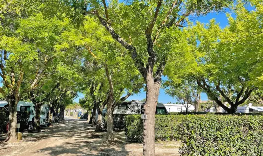 CAMPING TIKAYAN BEAUSÉJOUR